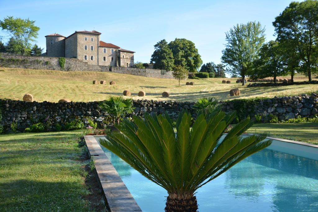 Chateau Du Besset Saint-Romain-de-Lerps Экстерьер фото